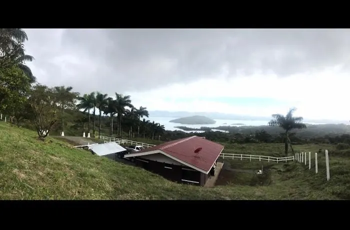 Tejona * Nuevo Arenal